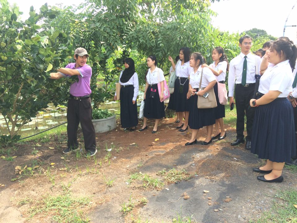 31 สิงหาคม 2563 งานวิชาศึกษาทั่วไปนำนักศึกษาเข้าเรียนรู้ ณ โครงการอนุรักษ์พันธุกรรมพืชฯ 