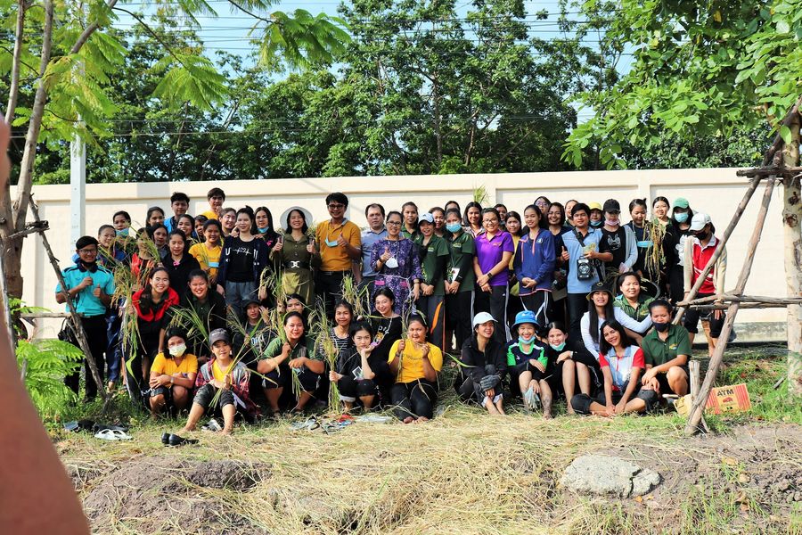 28 ตุลาคม 2563 กิจกรรมการเรียนรู้การลงแขกเกี่ยวข้าว 
