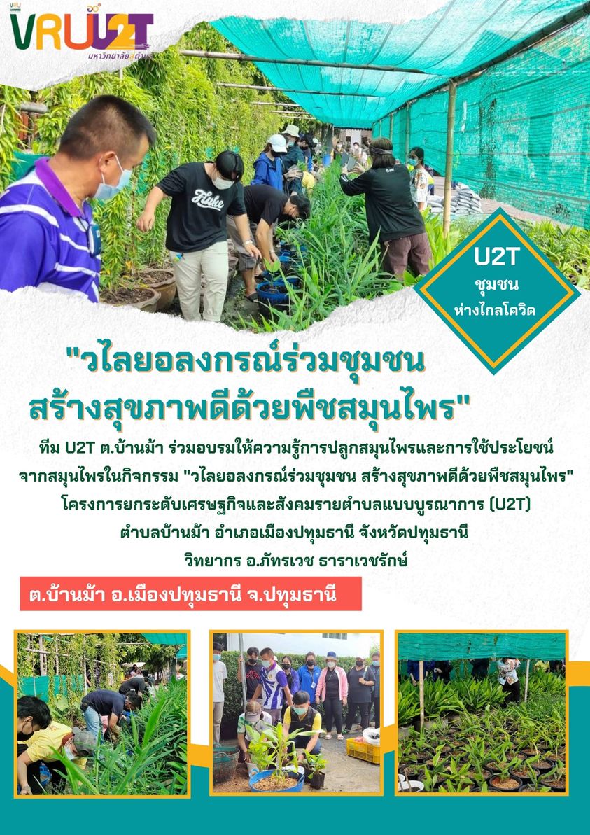 15 ตุลาคม 2564 VRUU2T กิจกรรมวไลยอลงกรณ์ร่วมกับชุมชน สร้างสุขภาพดีด้วยพืชสมุนไพรตำบลบ้านม้า 