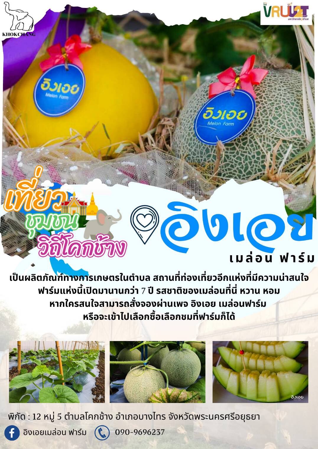 18 สิงหาคม 2564  VRUU2T อิงเอย เมล่อน ฟาร์ม  