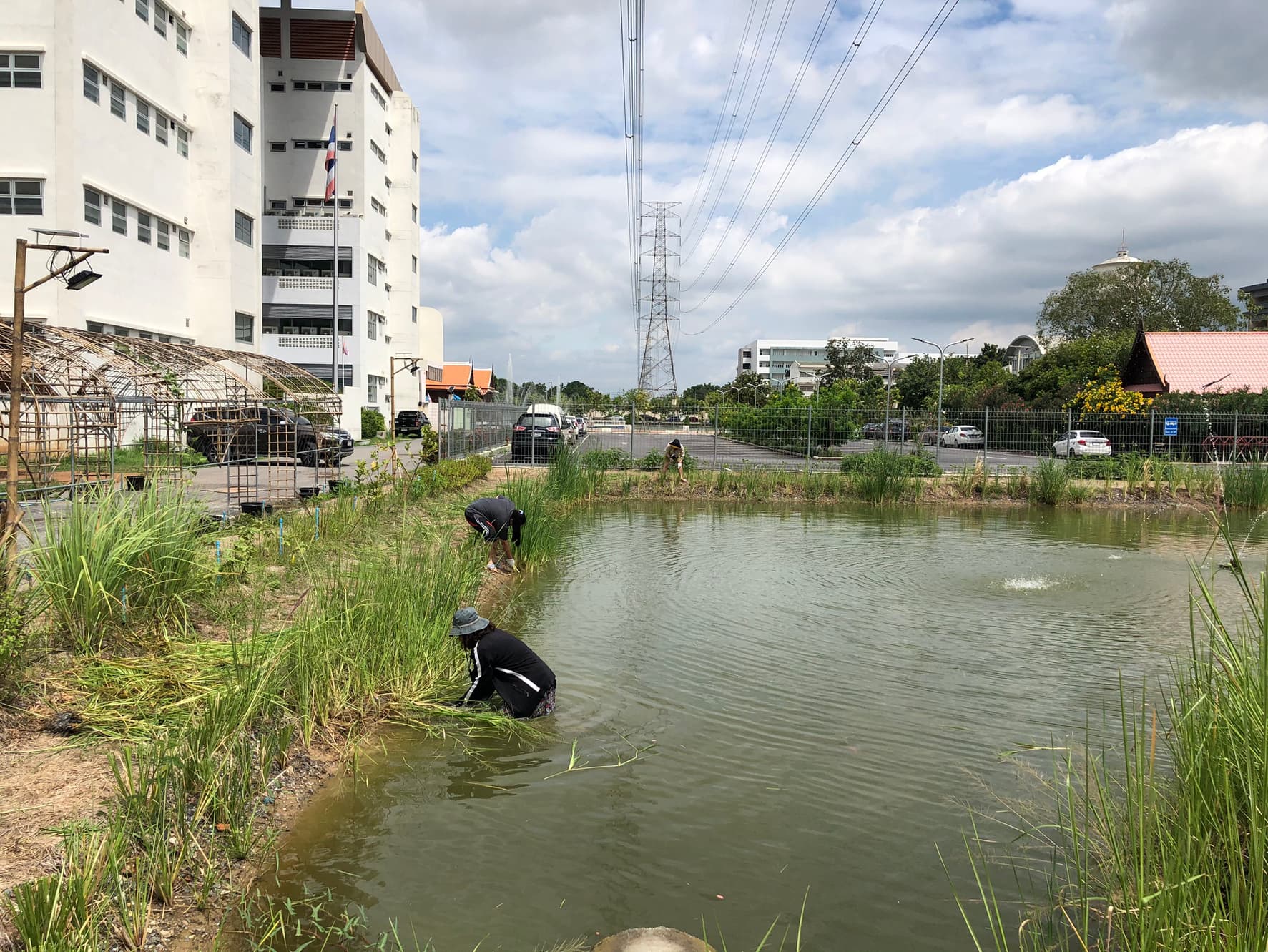 29 กันยายน 2563  กิจกรรมพัฒนาพื้นที่ ณ โคกหนองนา VALAYA Land 