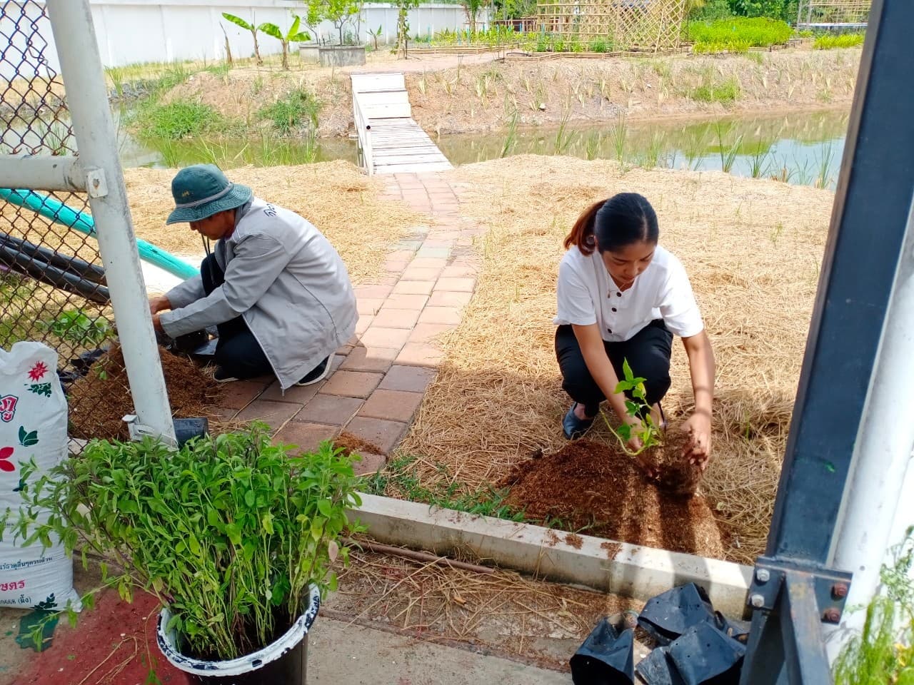 31 กรกฎาคม 2563 ณ โครงการศูนย์เรียนรู้ตามศาสตร์พระราชา มหาวิทยาลัยราชภัฏวไลยอลงกรณ์ ในพระบรมราชูปถัมภ์ 