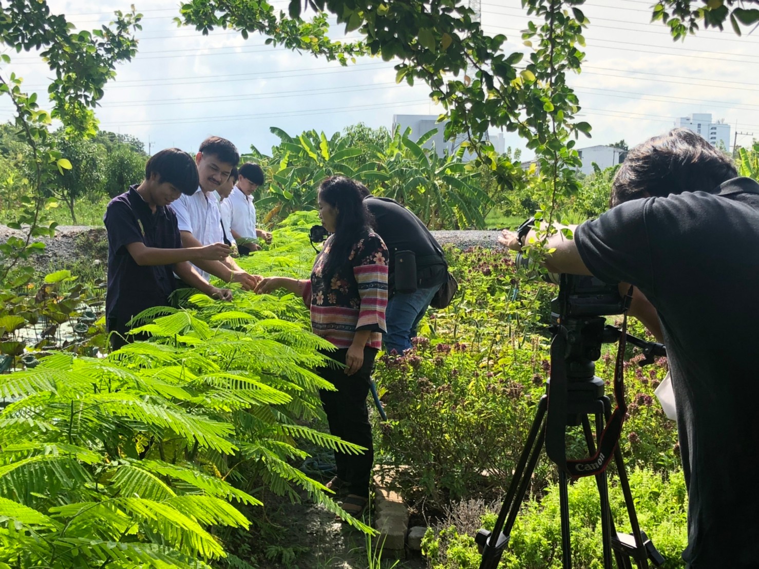 24 กรกฎาคม พ.ศ. 2563  การถ่ายทำสื่อวีดิทัศน์ ณ ศูนย์ประสานโครงการอนุรักษ์พันธุกรรมพืช