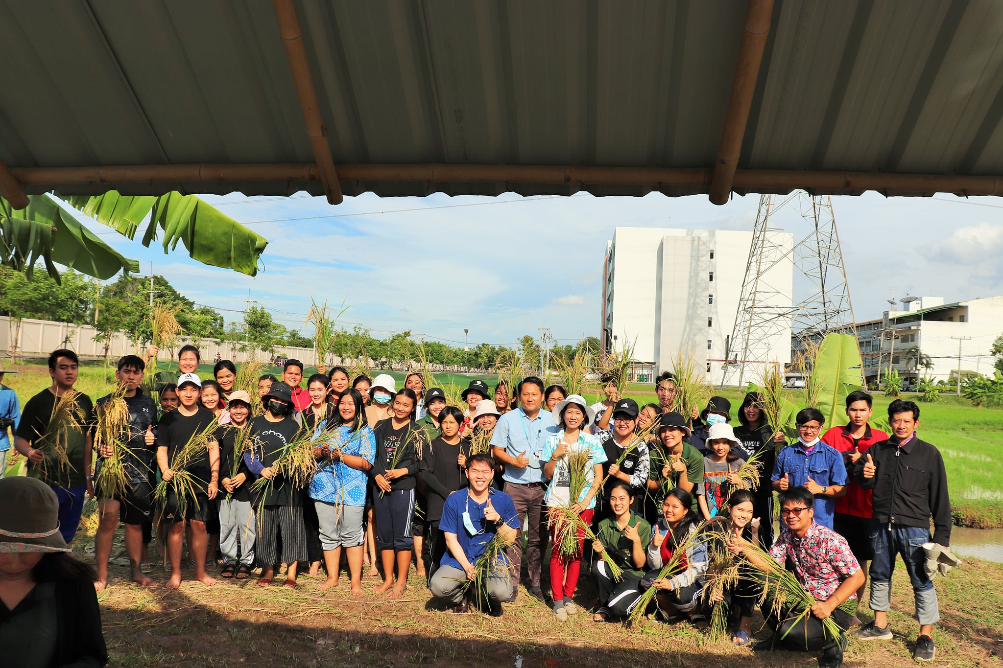 30 กันยายน 2563 เวลา 15.00 น.  กิจกรรมมาเรียนรู้ ครูพาทำ การลงแขกเกี่ยวข้าวในแปลงนาสาธิต