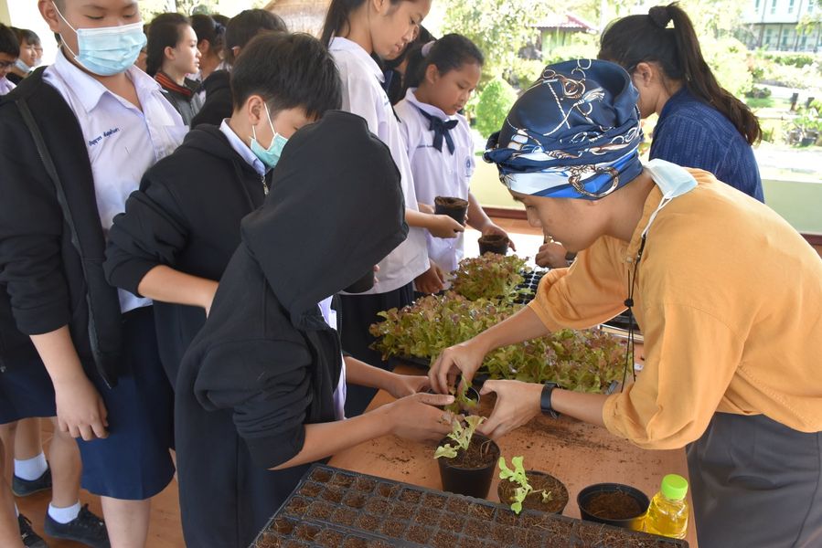 7 ธันวาคม 2563 ณะครูและนักเรียนโรงเรียนสาธิตมหาวิทยาลัยราชภัฏวไลยอลงกรณ์ ในพระบรมราชูปถัมภ์  เข้าเรียนรู้ฝึกปฏิบัติการปลูกผัก การฝึกปฏิบัติทำนํ้ายาล้างจาน