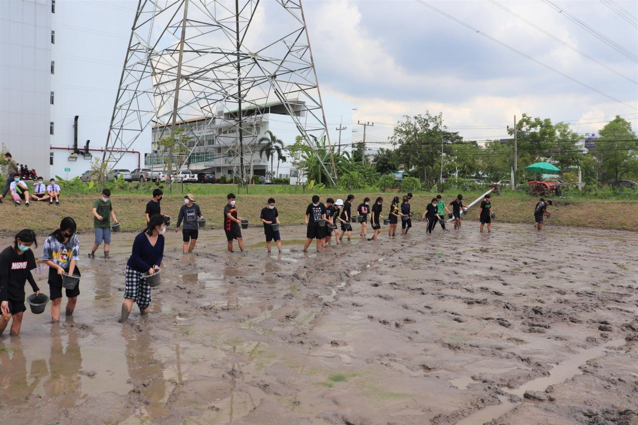 กิจกรรมหว่านข้าว เพื่อสืบสานวัฒนธรรมการปลูกข้าวและอนุรักษ์พันธุ์ข้าวพื้นเมืองของจังหวัดปทุมธานี 