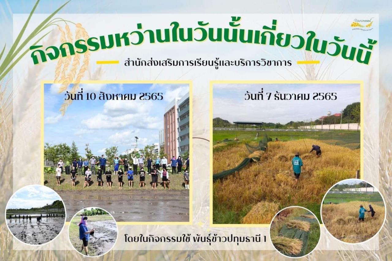  7 ธันวาคม 2565 กิจกรรมแห่งความดีปลูกวันแม่เกี่ยววันพ่อ  