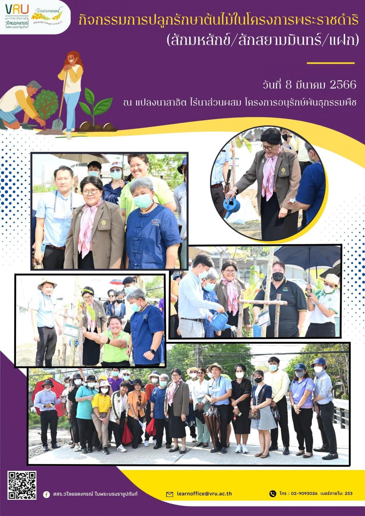  8 มีนาคม 2566 กิจกรรมการปลูกรักษาต้นไม้ในโครงการพระราชดำริ (สักมหสักข์/สักสยามมินทร์/แฝก) ภายใต้โครงการของศูนย์ประสานงาน อพ.สธ.-มรวอ. 