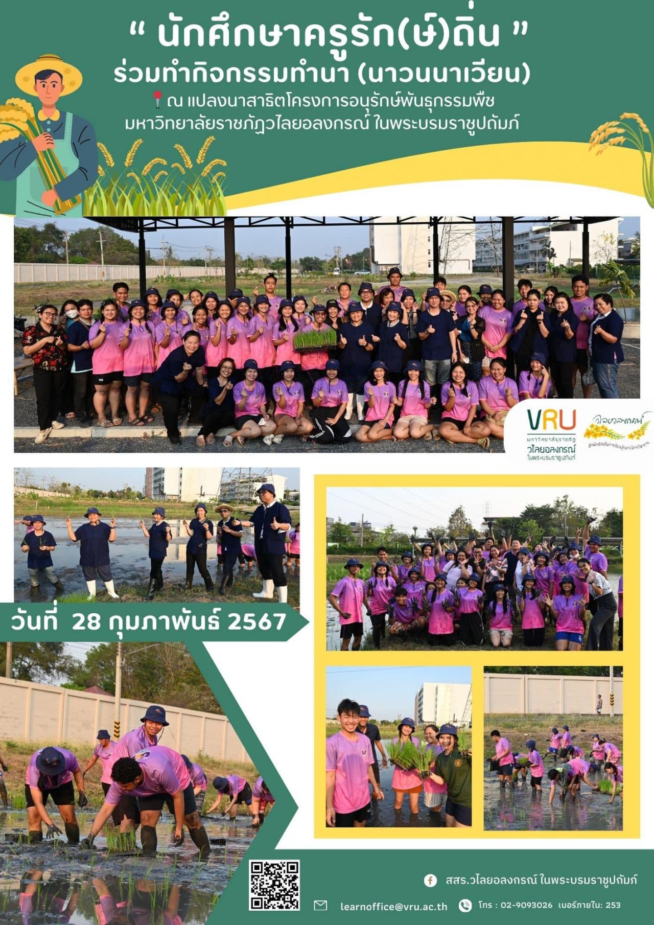 28 กุมภาพันธ์ 2567 กิจกรรมทำนา (นาวนนาเวียน) โครงการอนุรักษ์พันธุกรรมพืชฯ 