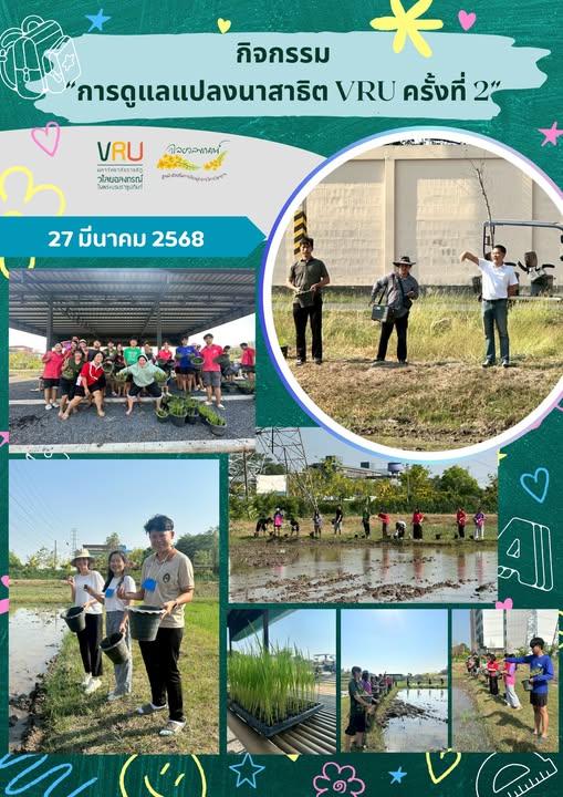 28 มีนาคม 2568 นักศึกษาครูรัก(ษ์)ถิ่น คณะครุศาสตร์ และบุคลากรใหม่ร่วมเรียนรู้การปลูกข้าวโดยการทำนาโยนเพื่อเสริมสร้างประสบการณ์ในการทำเกษตรปลอดภัย 