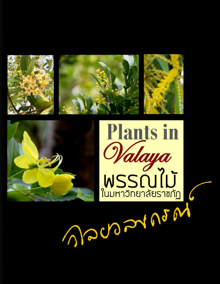 หนังสือ 